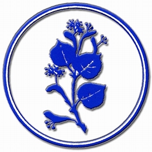 VpnZsm02