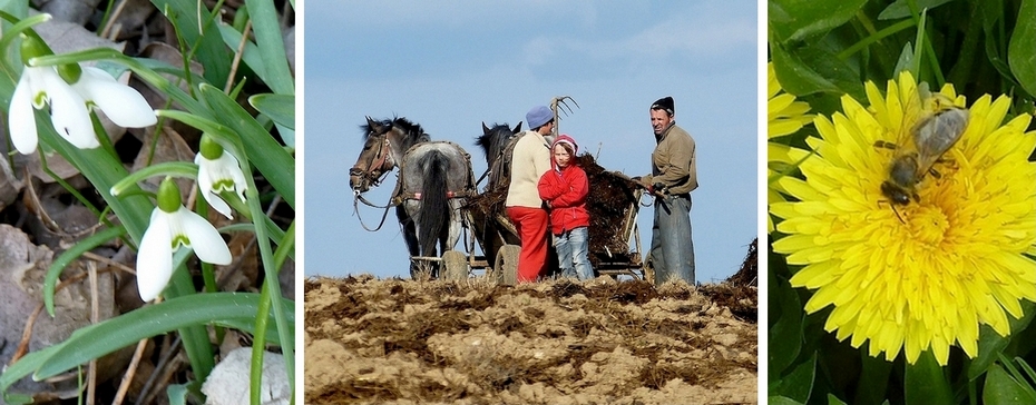 gemrum04