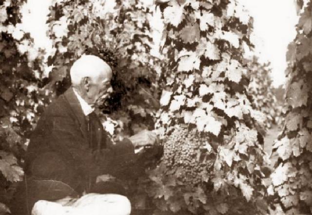 Zakladateľ šľachtenia viniča hroznorodého