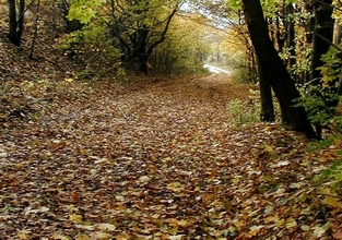 OSlovMa X 041.jpg
